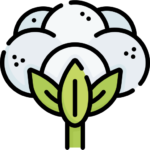 cotton